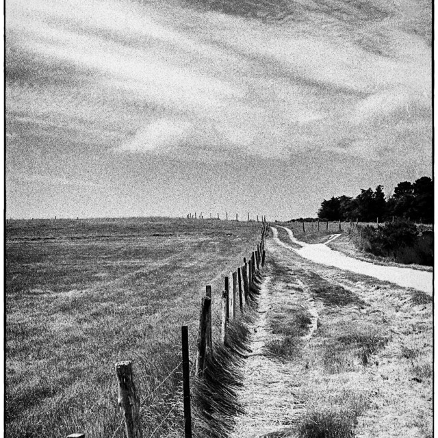 "EPSON scanner image" by Barry Gore - $12.55 "EPSON scanner image" stock image