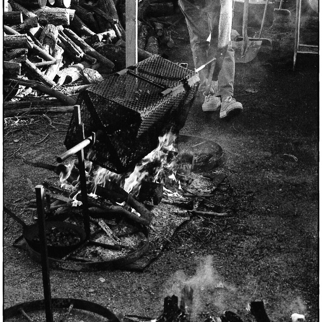 "EPSON scanner image" by Barry Gore - $12.55 "EPSON scanner image" stock image