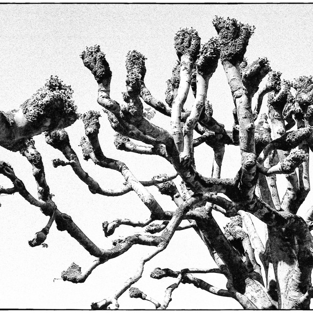 "EPSON scanner image" by Barry Gore - $12.55 "EPSON scanner image" stock image