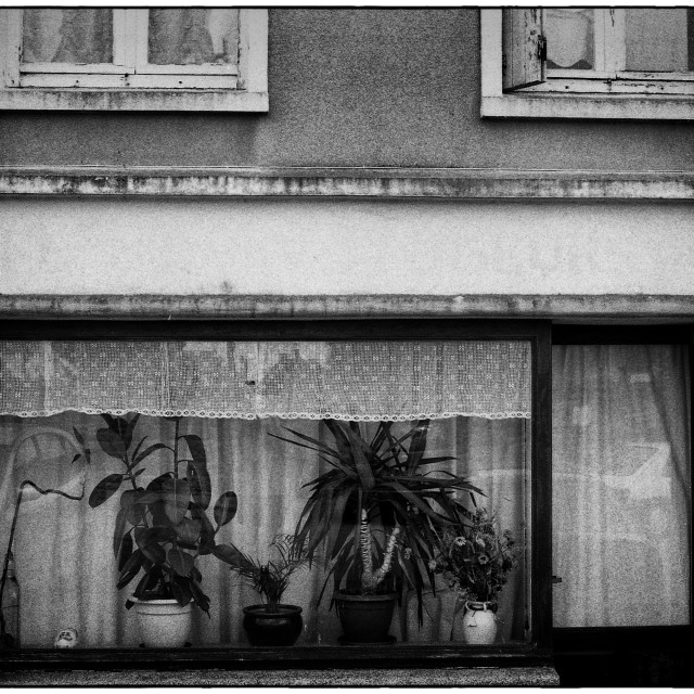 "EPSON scanner image" by Barry Gore - $12.55 "EPSON scanner image" stock image