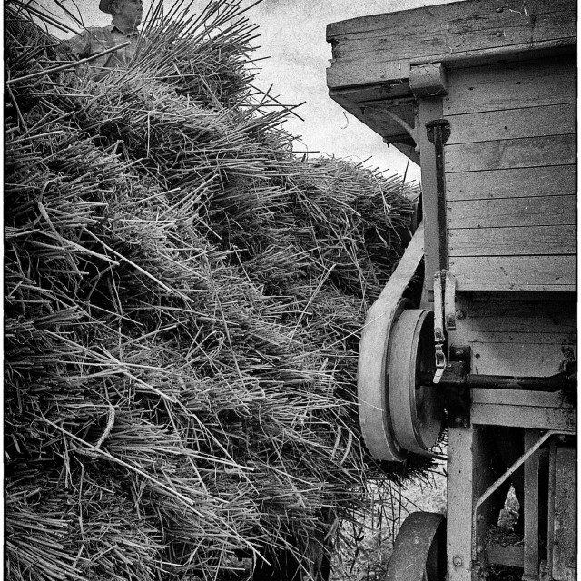"EPSON scanner image" by Barry Gore - $12.55 "EPSON scanner image" stock image