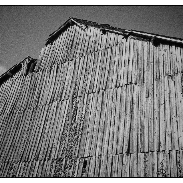 "EPSON scanner image" by Barry Gore - $12.55 "EPSON scanner image" stock image