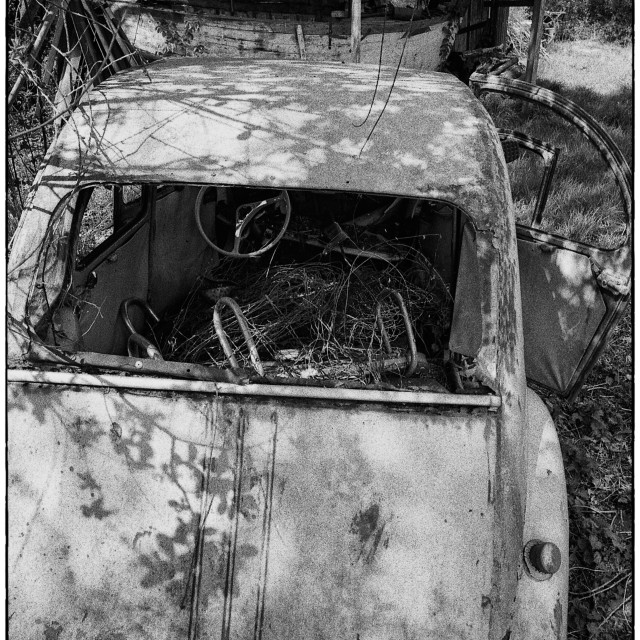"EPSON scanner image" by Barry Gore - $12.55 "EPSON scanner image" stock image