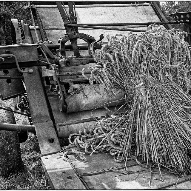 "EPSON scanner image" by Barry Gore - $12.55 "EPSON scanner image" stock image