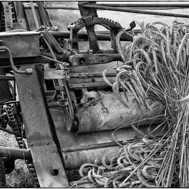 "EPSON scanner image" by Barry Gore - $12.55 "EPSON scanner image" stock image