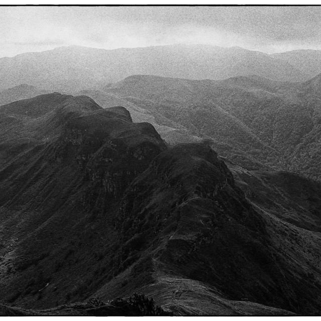 "EPSON scanner image" by Barry Gore - $12.55 "EPSON scanner image" stock image