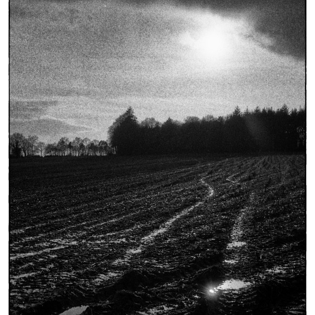 "EPSON scanner image" by Barry Gore - $12.55 "EPSON scanner image" stock image