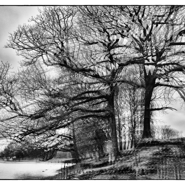 "" by Barry Gore - $12.55 "" stock image