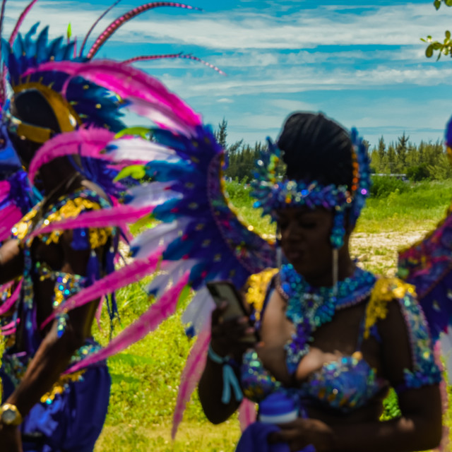 "DSC_0074.JPG" by Agency PlayMas.Today - $2.92 "DSC_0074.JPG" stock image