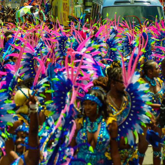 "DSC_0079.JPG" by Agency PlayMas.Today - $2.92 "DSC_0079.JPG" stock image