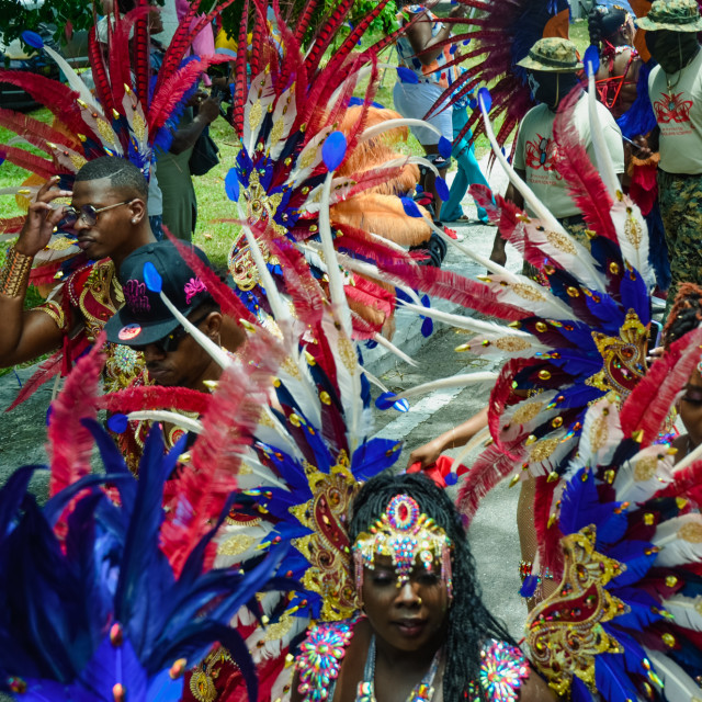 "DSC_0086.JPG" by Agency PlayMas.Today - $2.92 "DSC_0086.JPG" stock image