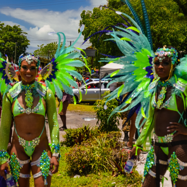 "DSC_0127.JPG" by Agency PlayMas.Today - $2.92 "DSC_0127.JPG" stock image