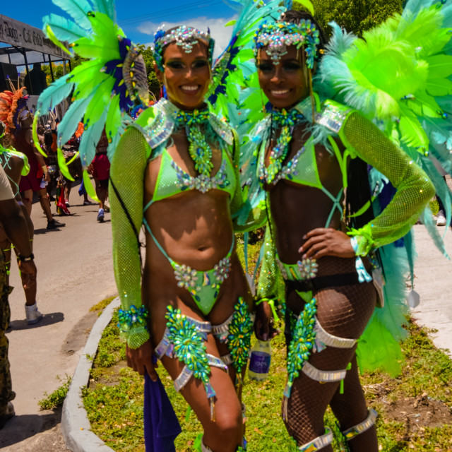 "DSC_0129.JPG" by Agency PlayMas.Today - $2.92 "DSC_0129.JPG" stock image