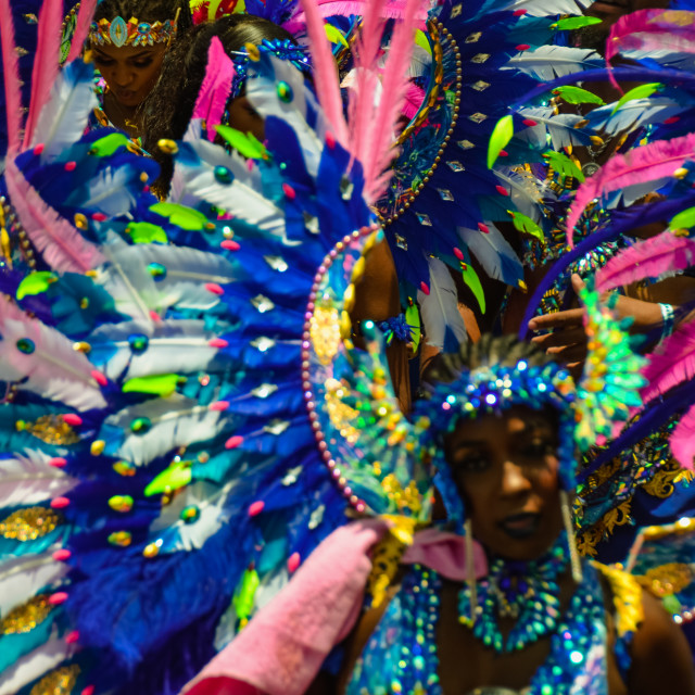 "DSC_0137.JPG" by Agency PlayMas.Today - $2.92 "DSC_0137.JPG" stock image
