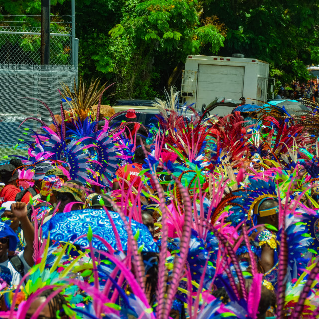 "DSC_0138.JPG" by Agency PlayMas.Today - $2.92 "DSC_0138.JPG" stock image