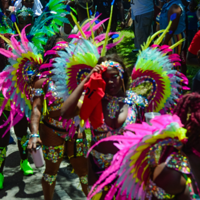 "DSC_0158.JPG" by Agency PlayMas.Today - $3.05 "DSC_0158.JPG" stock image