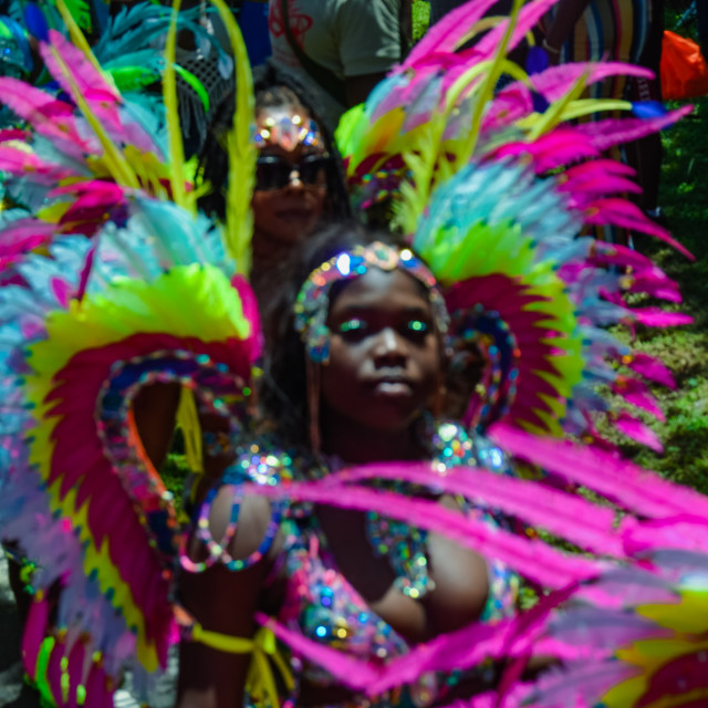 "DSC_0159.JPG" by Agency PlayMas.Today - $3.05 "DSC_0159.JPG" stock image