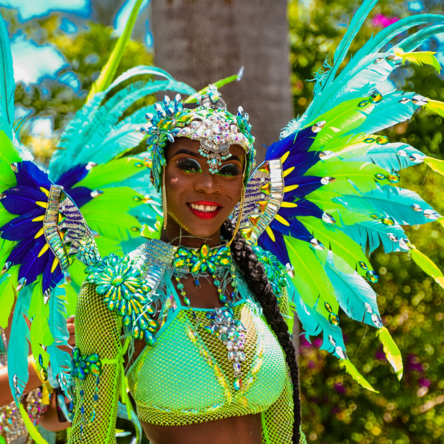 "Bahamas Carnival 2023" by Agency PlayMas.Today - $3.05 "Bahamas Carnival 2023" stock image