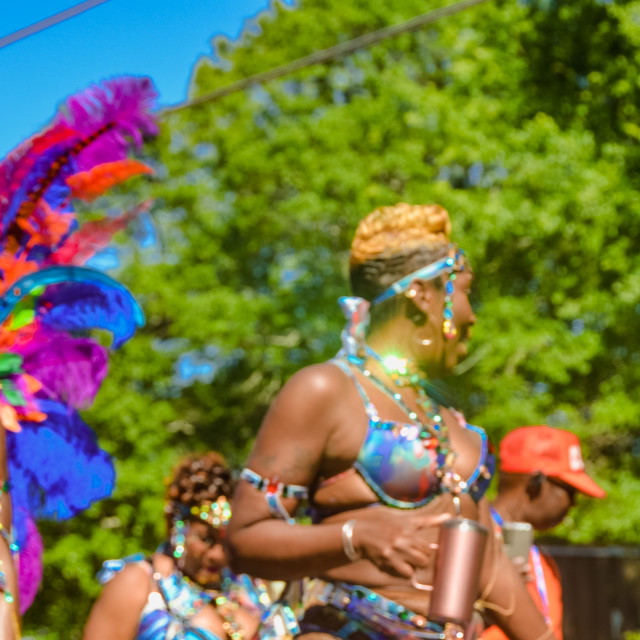 "DSC_0712.JPG" by Agency PlayMas.Today - $2.92 "DSC_0712.JPG" stock image
