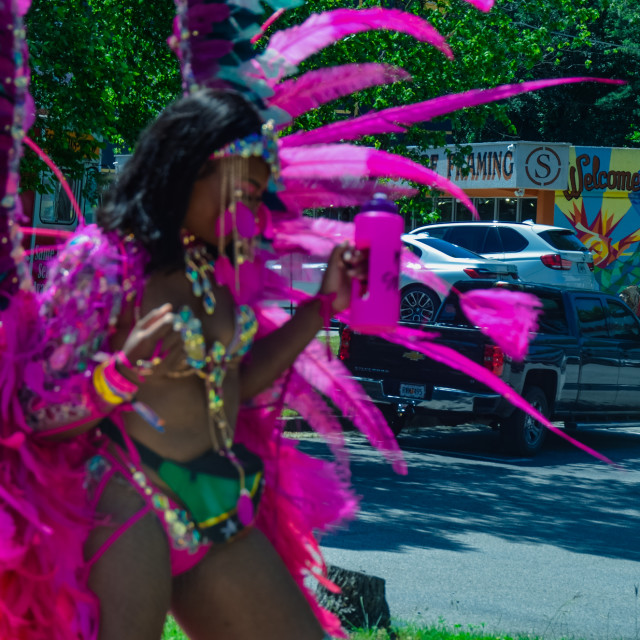"DSC_0311.JPG" by Agency PlayMas.Today - $3.05 "DSC_0311.JPG" stock image