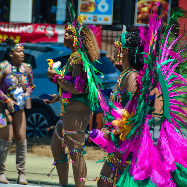 "DSC_0326.JPG" by Agency PlayMas.Today - $3.05 "DSC_0326.JPG" stock image