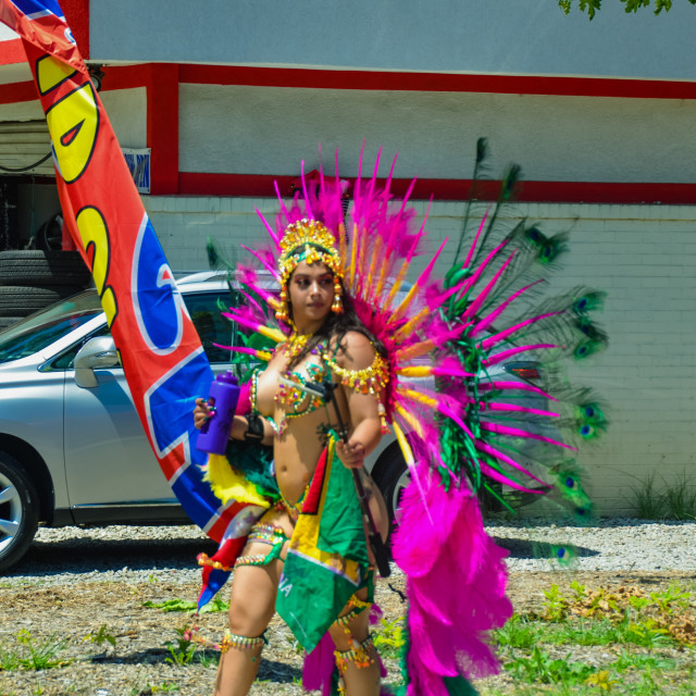 "DSC_0330.JPG" by Agency PlayMas.Today - $3.05 "DSC_0330.JPG" stock image