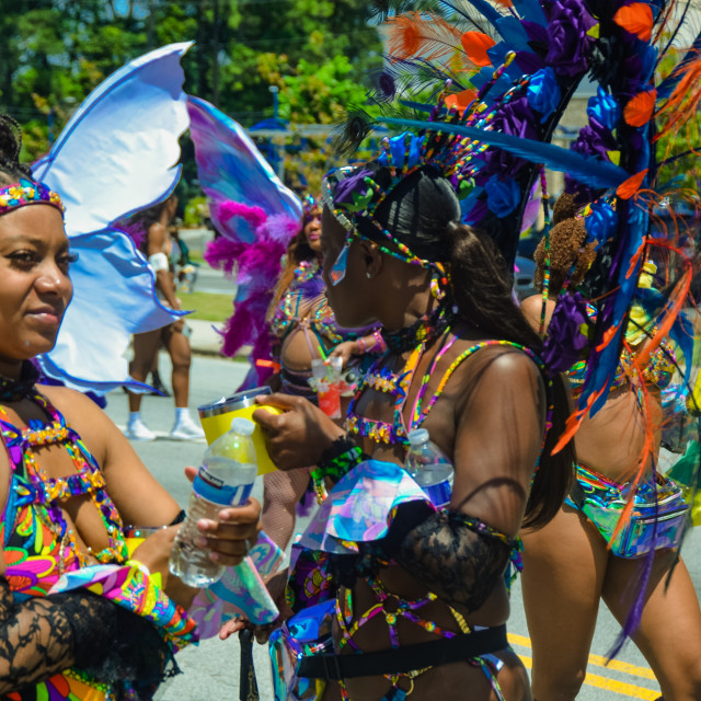 "DSC_0336.JPG" by Agency PlayMas.Today - $3.05 "DSC_0336.JPG" stock image