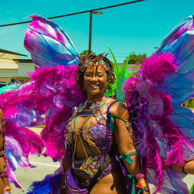 "DSC_0341.JPG" by Agency PlayMas.Today - $3.05 "DSC_0341.JPG" stock image