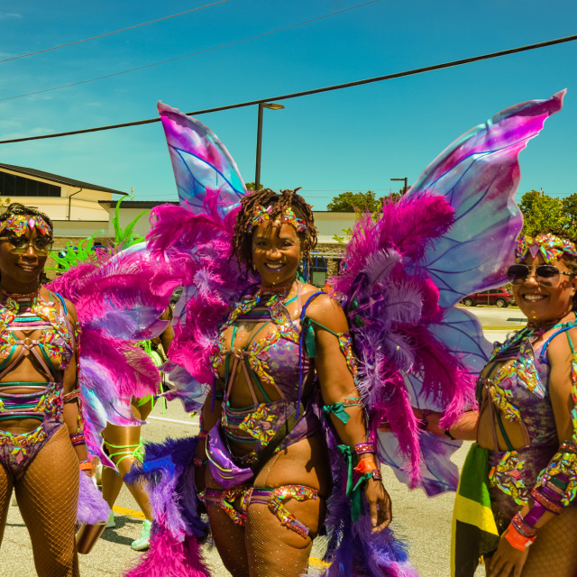 "DSC_0342.JPG" by Agency PlayMas.Today - $3.05 "DSC_0342.JPG" stock image