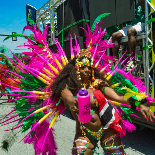 "DSC_0390.JPG" by Agency PlayMas.Today - $3.05 "DSC_0390.JPG" stock image