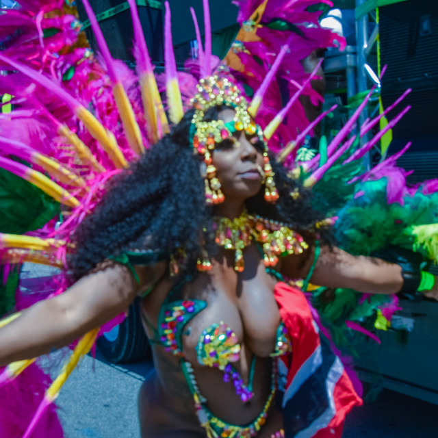 "DSC_0391.JPG" by Agency PlayMas.Today - $3.05 "DSC_0391.JPG" stock image