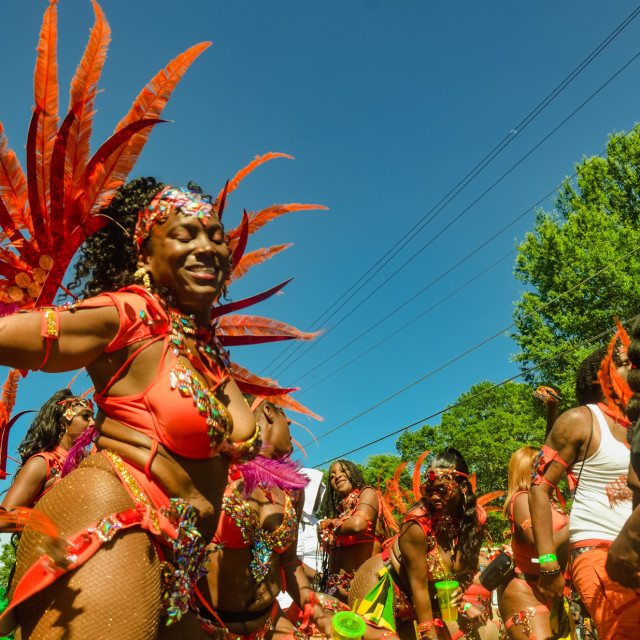 "DSC_0704.JPG" by Agency PlayMas.Today - $3.05 "DSC_0704.JPG" stock image