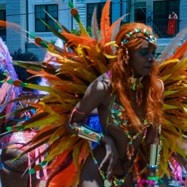 "DSC_0397.JPG" by Agency PlayMas.Today - $3.05 "DSC_0397.JPG" stock image