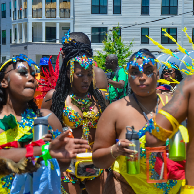 "DSC_0403.JPG" by Agency PlayMas.Today - $3.05 "DSC_0403.JPG" stock image
