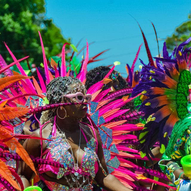 "DSC_0420.JPG" by Agency PlayMas.Today - $3.05 "DSC_0420.JPG" stock image
