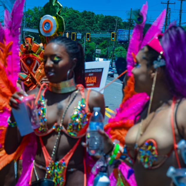 "DSC_0442.JPG" by Agency PlayMas.Today - $3.05 "DSC_0442.JPG" stock image