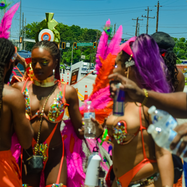 "DSC_0443.JPG" by Agency PlayMas.Today - $3.05 "DSC_0443.JPG" stock image