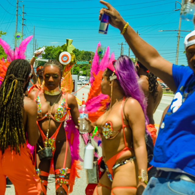 "DSC_0444.JPG" by Agency PlayMas.Today - $3.05 "DSC_0444.JPG" stock image