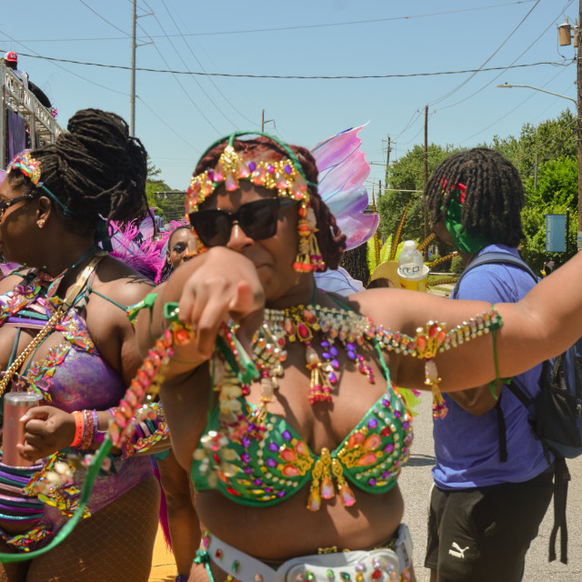 "DSC_0544.JPG" by Agency PlayMas.Today - $2.92 "DSC_0544.JPG" stock image