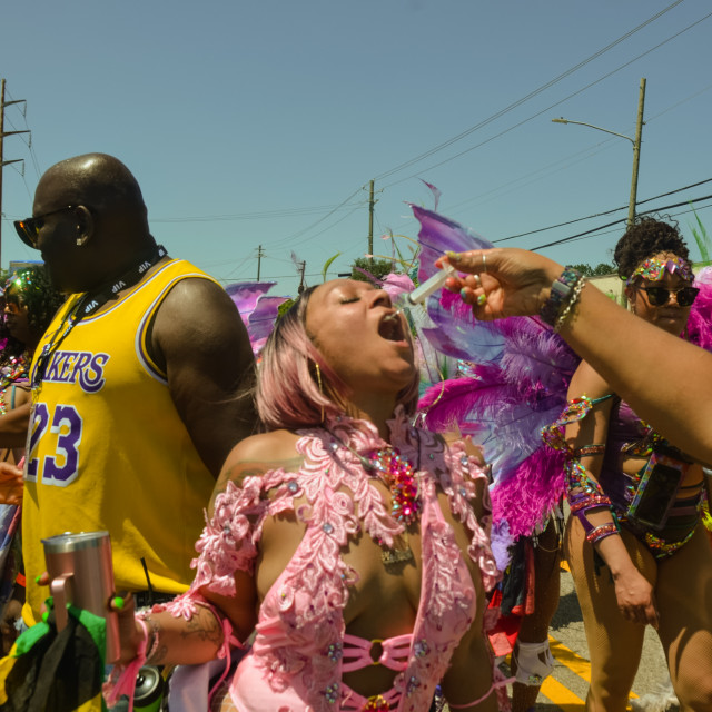 "DSC_0567.JPG" by Agency PlayMas.Today - $2.92 "DSC_0567.JPG" stock image