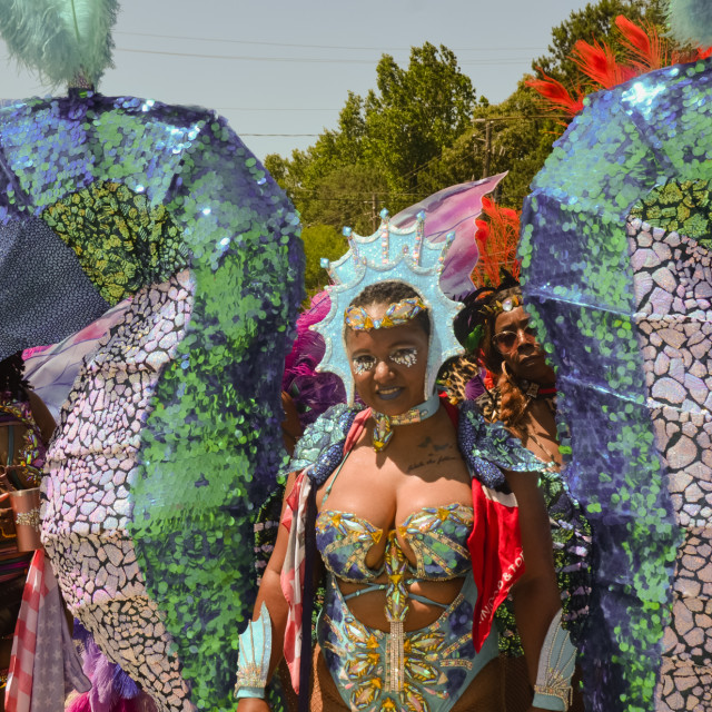 "DSC_0630.JPG" by Agency PlayMas.Today - $2.92 "DSC_0630.JPG" stock image