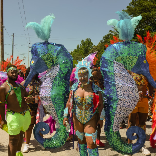 "DSC_0632.JPG" by Agency PlayMas.Today - $2.92 "DSC_0632.JPG" stock image
