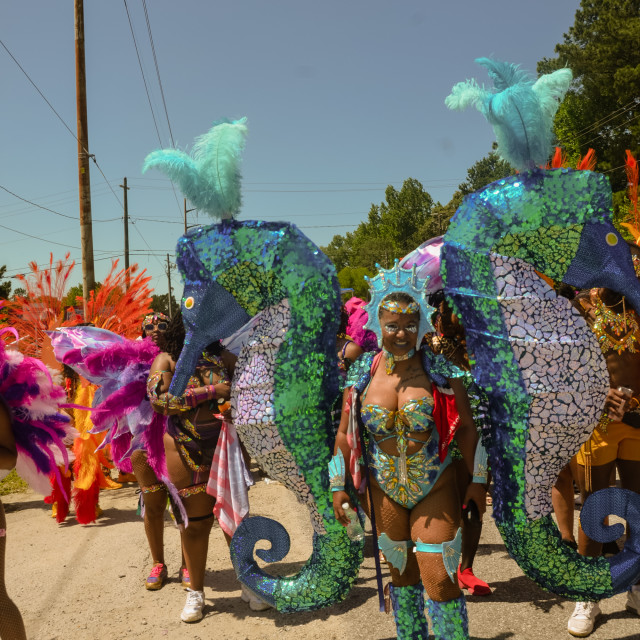 "DSC_0633.JPG" by Agency PlayMas.Today - $2.92 "DSC_0633.JPG" stock image
