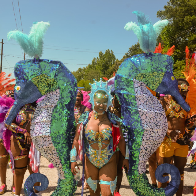 "DSC_0634.JPG" by Agency PlayMas.Today - $2.92 "DSC_0634.JPG" stock image