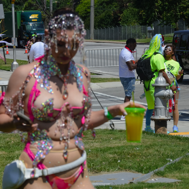 "DSC_0284.JPG" by Agency PlayMas.Today - $2.92 "DSC_0284.JPG" stock image