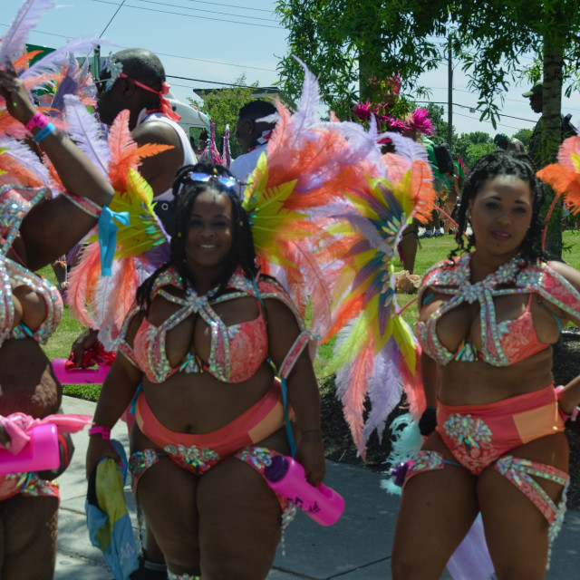"DSC_0294.JPG" by Agency PlayMas.Today - $2.92 "DSC_0294.JPG" stock image