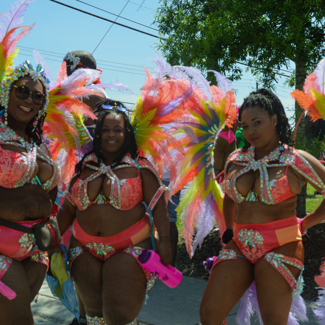 "DSC_0295.JPG" by Agency PlayMas.Today - $2.92 "DSC_0295.JPG" stock image