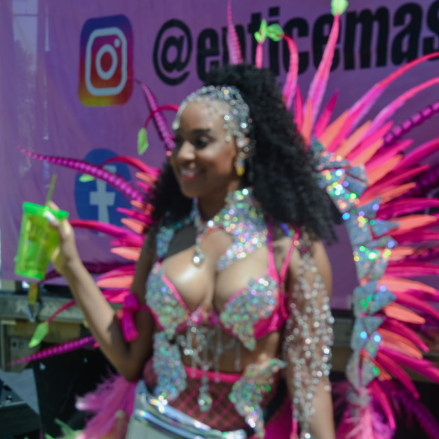 "DSC_0317.JPG" by Agency PlayMas.Today - $3.05 "DSC_0317.JPG" stock image