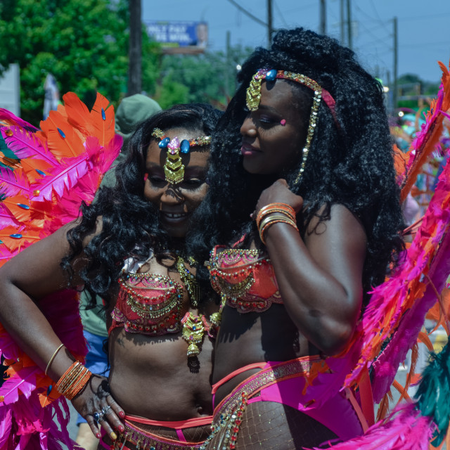 "DSC_0338.JPG" by Agency PlayMas.Today - $3.05 "DSC_0338.JPG" stock image