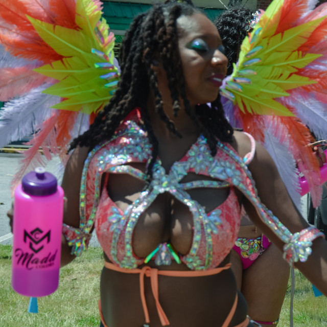 "DSC_0377.JPG" by Agency PlayMas.Today - $3.05 "DSC_0377.JPG" stock image